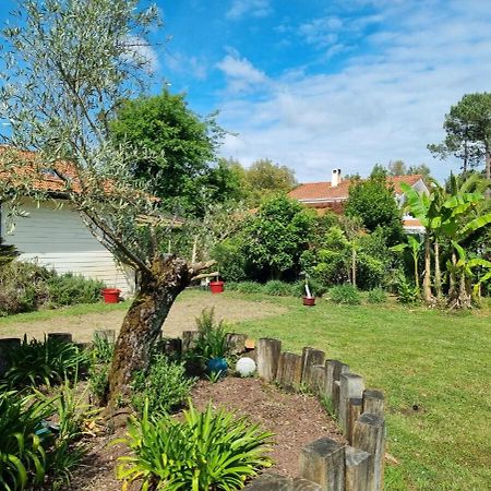 Willa House With Heated Pool And Jacuzzi Soorts-Hossegor Zewnętrze zdjęcie