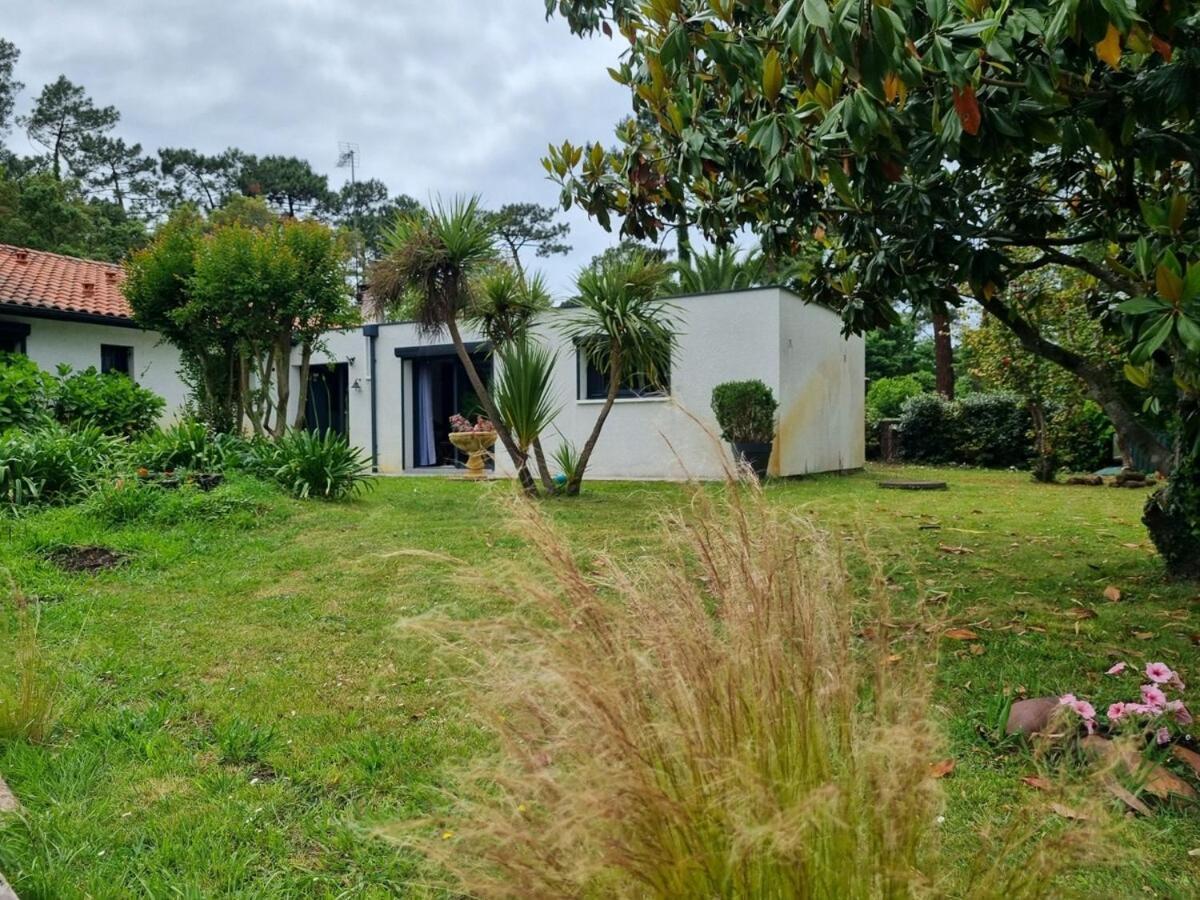 Willa House With Heated Pool And Jacuzzi Soorts-Hossegor Zewnętrze zdjęcie