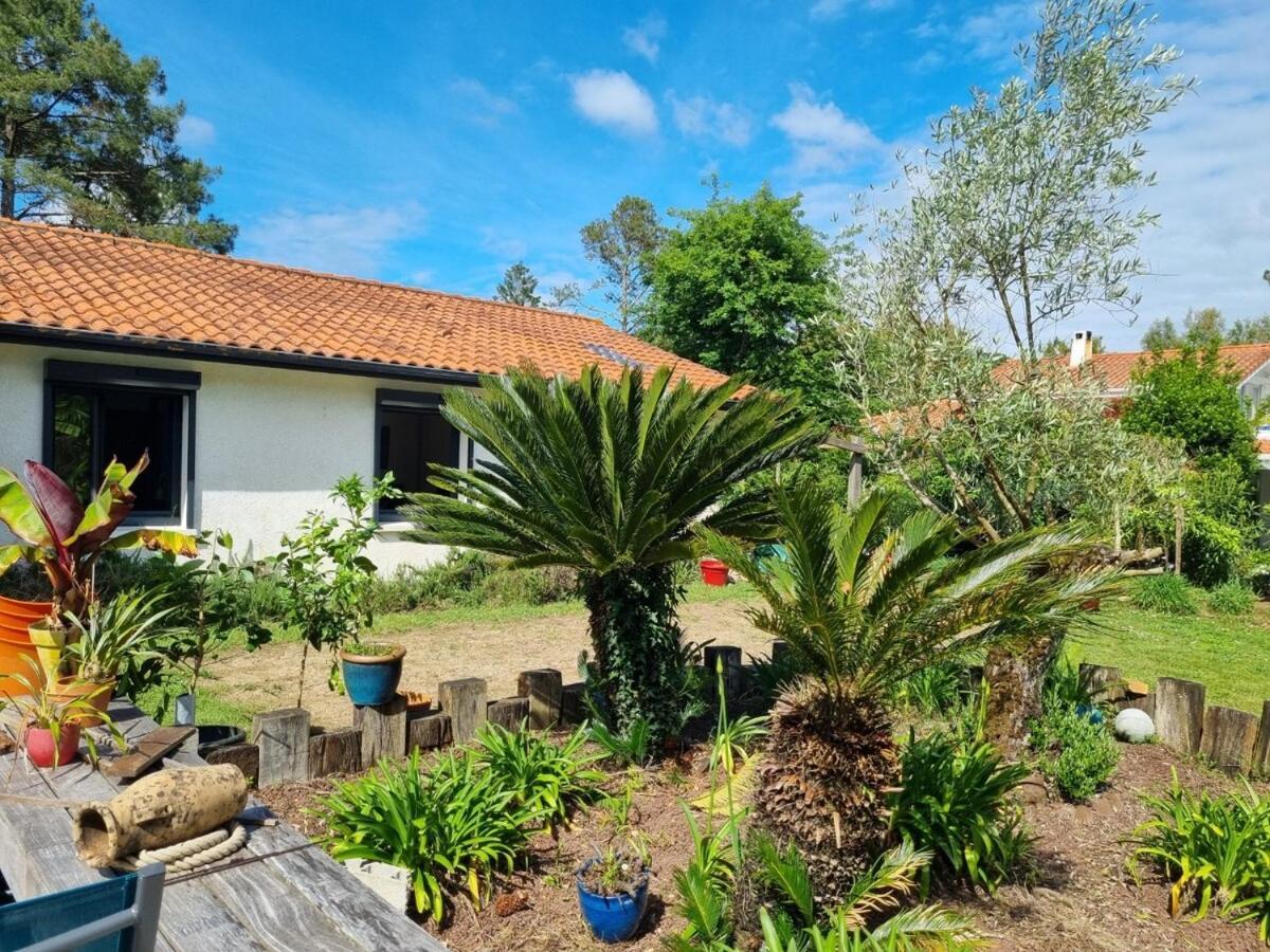 Willa House With Heated Pool And Jacuzzi Soorts-Hossegor Zewnętrze zdjęcie
